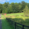 Modern Farmhouse Vacation Rental Driveway