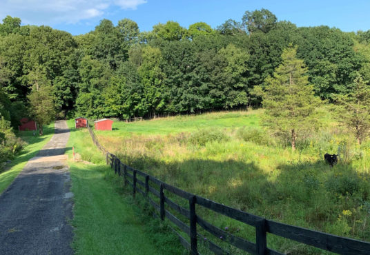 Modern Farmhouse Vacation Rental Driveway